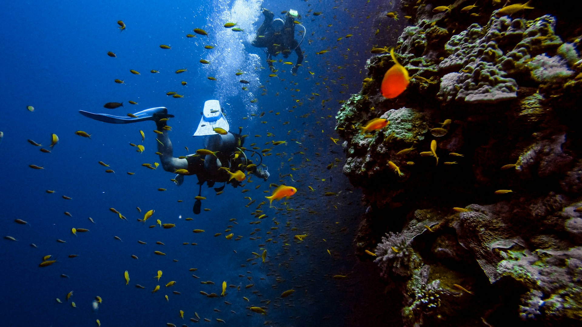 Andaman Islands - Beach destination in India